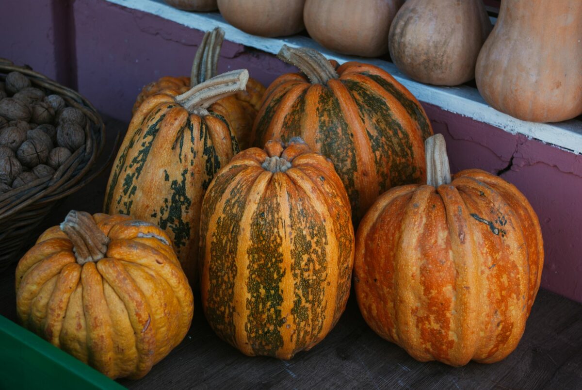 Semaine du Goût 2026 : réapprendre à goûter les saveurs d&rsquo;automne